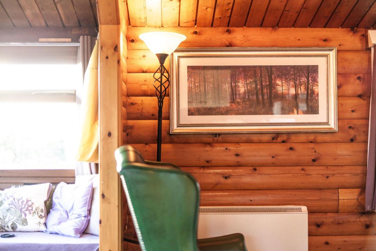 Log Cabin Nestled In The Mountains Of Snowdonia By Seren Property Trawsfynydd Exterior photo